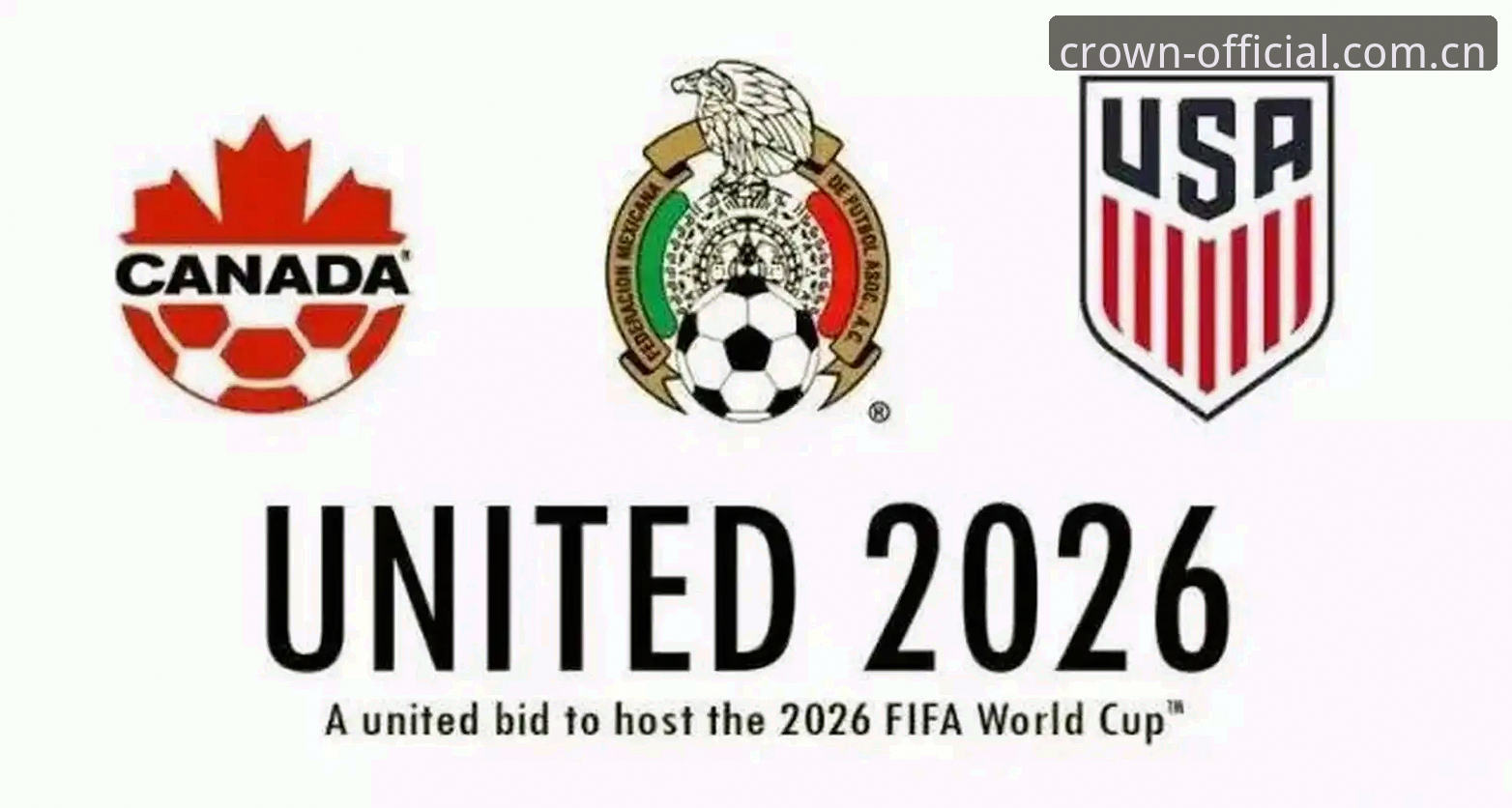 2026世界杯观赛签证难题完整指南:从约旦球迷困境看国际赛事出行策略
